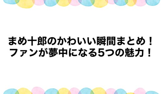 まめ十郎のかわいい瞬間まとめ！ファンが夢中になる5つの魅力！