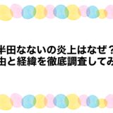 半田なないの炎上はなぜ？理由と経緯を徹底調査してみた