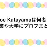 Moe Katayamaは何者？職業や大学にプロフまとめ