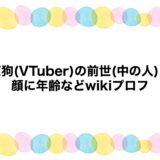 夢天狗(VTuber)の前世(中の人)は？顔に年齢などwikiプロフ